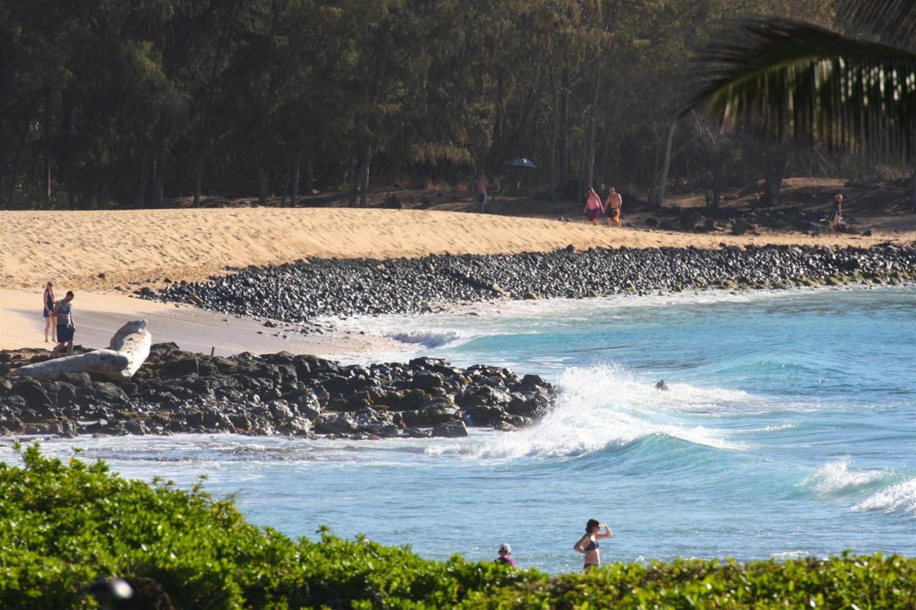 Poipu Sands 513 - Ocean Front Koloa Exterior foto